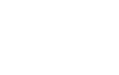 vitamix