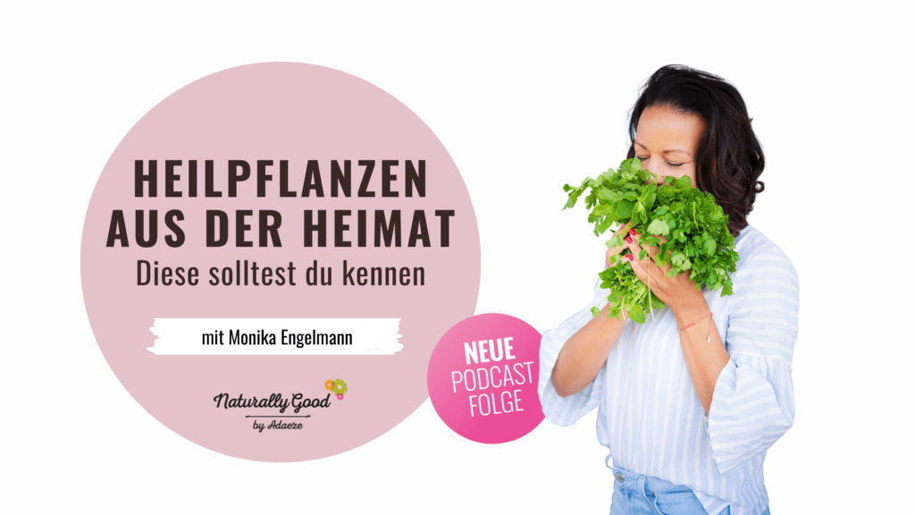 Kennst du Holunder als Heilpflanze?